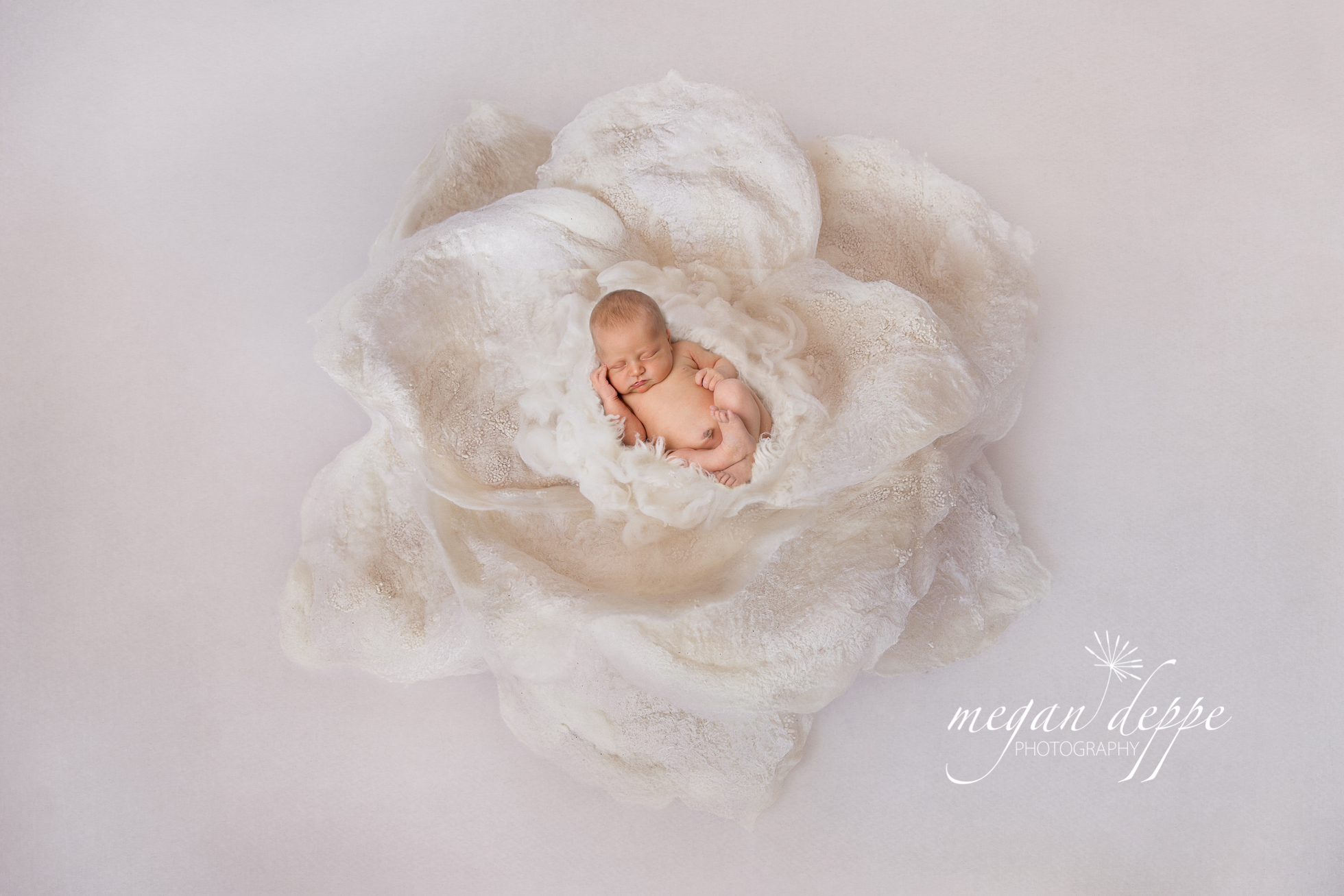 Megan Deppe Photography- Annapolis Newborn Photographer-10